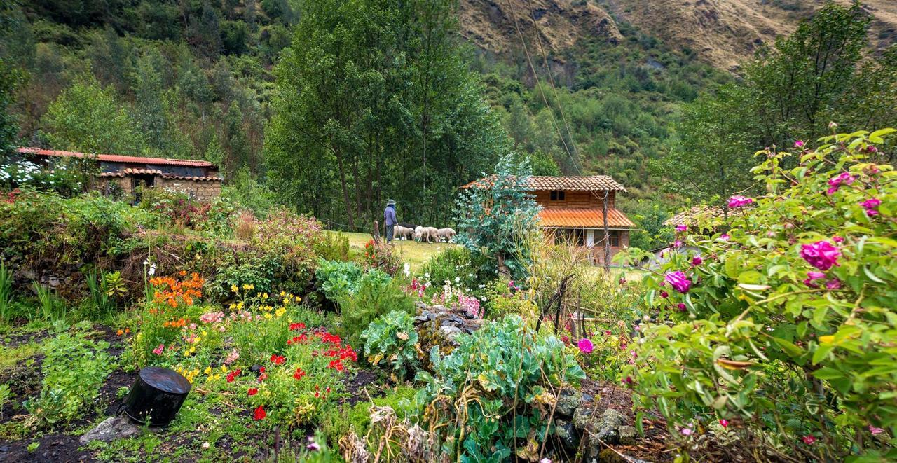 Hospedaje Illariy Yanama Dış mekan fotoğraf