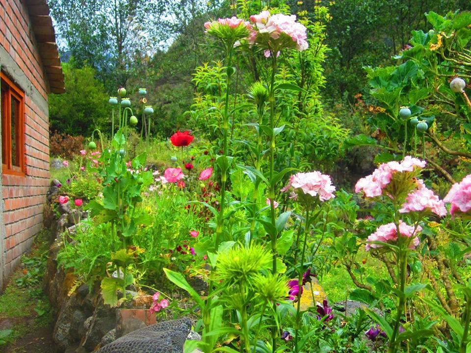 Hospedaje Illariy Yanama Dış mekan fotoğraf